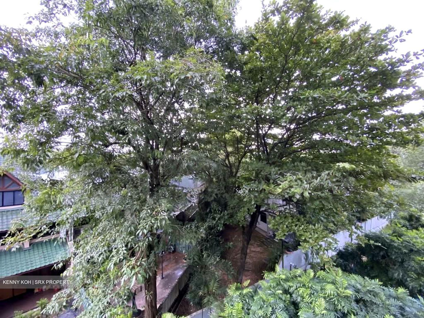 38 Jervois (D10), Apartment #581906921